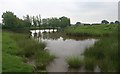 The fish pond, Hollybed Common