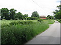 Lane to Blackmore Park Farm