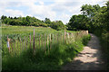 Nottingham Canal Nature Reserve