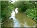 River Kennet near Clatford