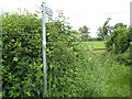 SO7423 : Footpath, Kent's Green by Pauline E