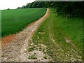 Wansdyke, near East Kennett