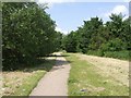 Bentley Canal - Fibbersley Local Nature Reserve