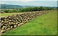 Drystone wall, Slemish (3)