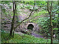 Carr Beck culvert