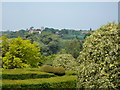 Looking across Mount Ephraim gardens to Hernhill village