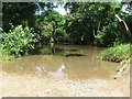 Hurn: Pig Shoot Lane ford and footbridge