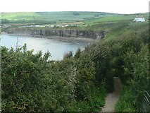 SY9078 : Kimmeridge: the Coast Path goes downhill by Chris Downer