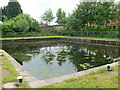 Five Locks Basin, Cwmbran