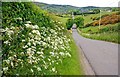 The Dromara Road near Leitrim