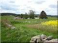 Farm in the Ythan valley