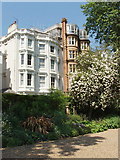 TQ2480 : Kensington Park Gardens houses from Ladbroke Square Gardens by David Hawgood