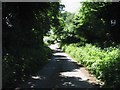 A shaded lane near North Court, Swingfield Street