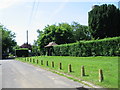 Grass verge in front of St Peter