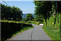 Road descending past Rhiwlas farm