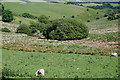 Cwm below Cefnblaenau