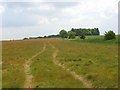 Farmland on East Ginge Down