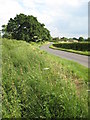 Country road near Green Street