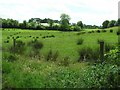 Claragh Townland