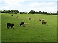 Lisnagrot Townland