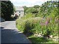 Cottage at Trewardreva Mill