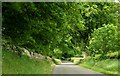 The Deerpark Road near Doagh