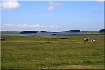 SX1584 : Davidstow Moor with Crowdy Reservoir in the distance by Fred James