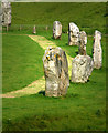 Avebury Stones