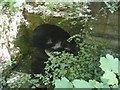 Culvert under ruined mill, Cragg Vale, Mytholmroyd