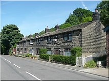 SE0023 : Springfield Terrace, Cragg Road B6138, Cragg Vale, Mytholmroyd by Humphrey Bolton