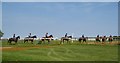 A string of horses heads  for the gallops