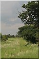 Footpath through the fields