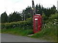 SJ0354 : Telephone Kiosk near Pennant by Eirian Evans
