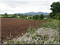 Ploughed field at Bastonford