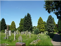 SO5339 : St. Paul's churchyard by Jonathan Billinger