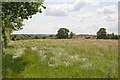 Field west of Claylands Local Nature Reserve