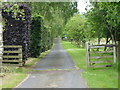 NT6444 : Impressive, tree-lined driveway by James Denham