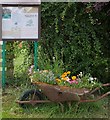 Allotments Noticeboard, Albany Road, Bishop