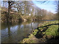 River Severn,view Llanidloes.