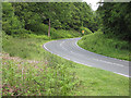 Road through the Forest of Dean