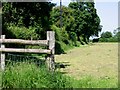 Field edge near Blandred Farm