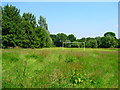 Football Pitch