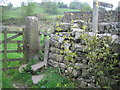 Gate stile on the Pennine Way