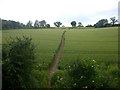 Draycote farmland