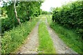 Track near Ballyward