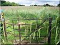 Kissing gate, Dinton