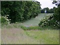 Footpath towards Baverstock