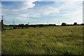 Meadow at Falhouse Green