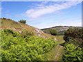 Footpath and Cefn yr Ogof