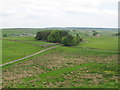 The view north from Milecastle 42